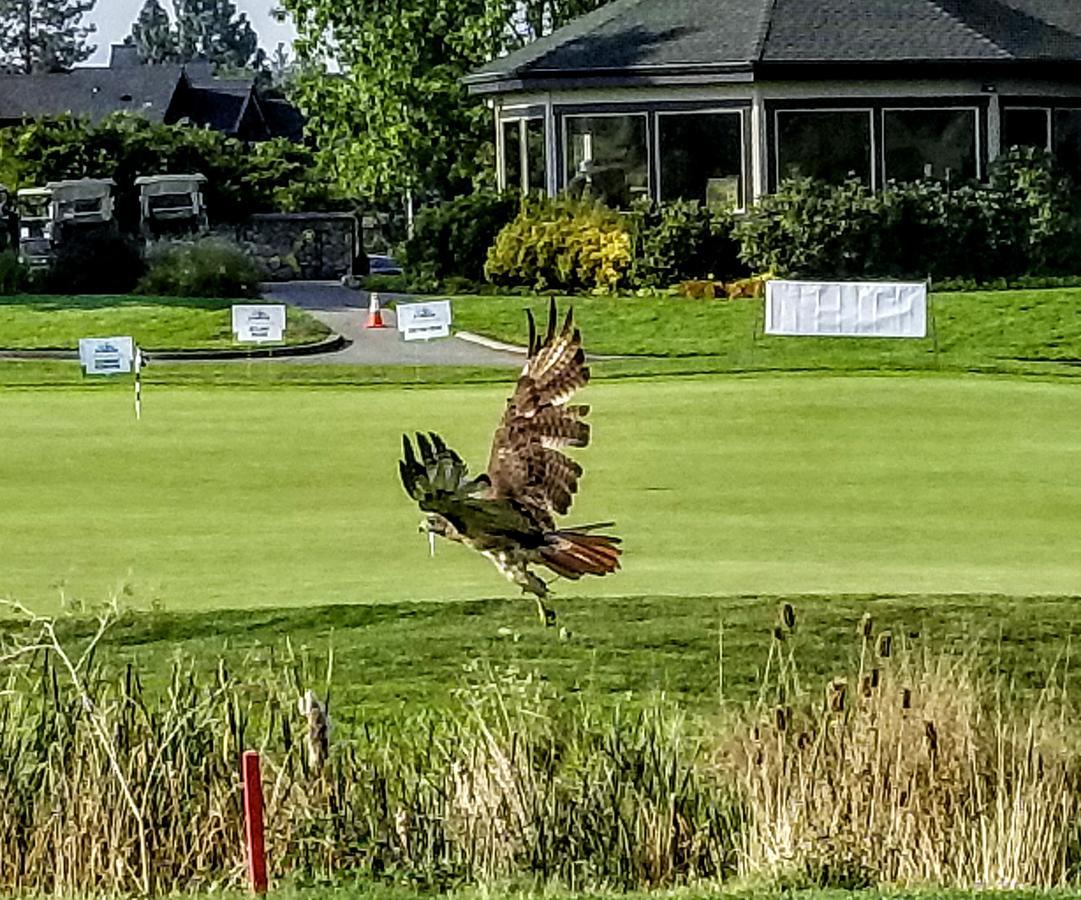 Resort At Eagle Point Golf Club Lodging Medford Luaran gambar