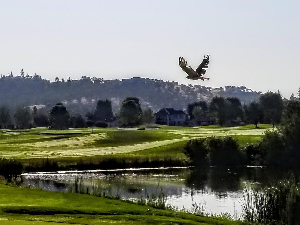 Resort At Eagle Point Golf Club Lodging Medford Luaran gambar